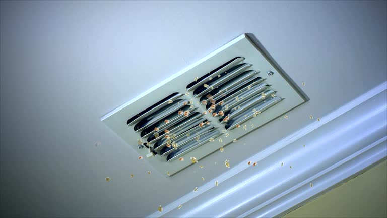 Best HVAC Air Duct Cleaning  in Demopolis, AL