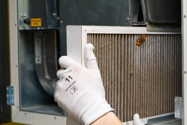 Best Emergency Air Duct Cleaning  in Demopolis, AL