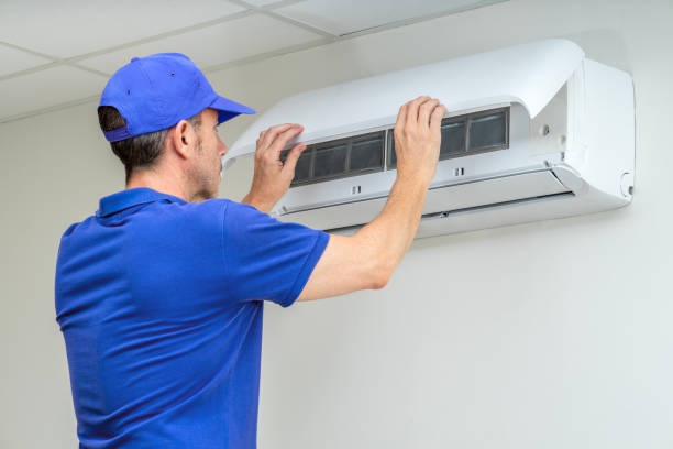 Best Affordable Duct Cleaning Services  in Demopolis, AL