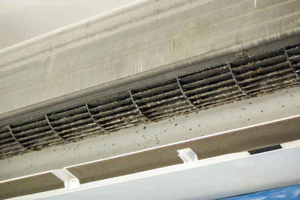 Best Air Duct Cleaning Near Me in Demopolis, AL