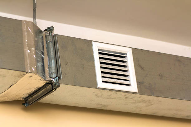 Best Commercial Air Duct Cleaning  in Demopolis, AL