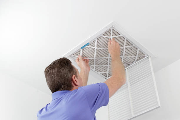Best Ductwork Cleaning Services  in Demopolis, AL